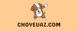 choyeuaz.com